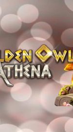 The Golden Owl of Athena