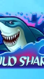 Wild Shark