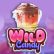 Wild Candy