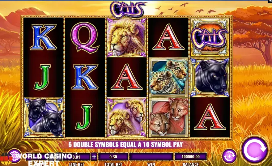 Cats
