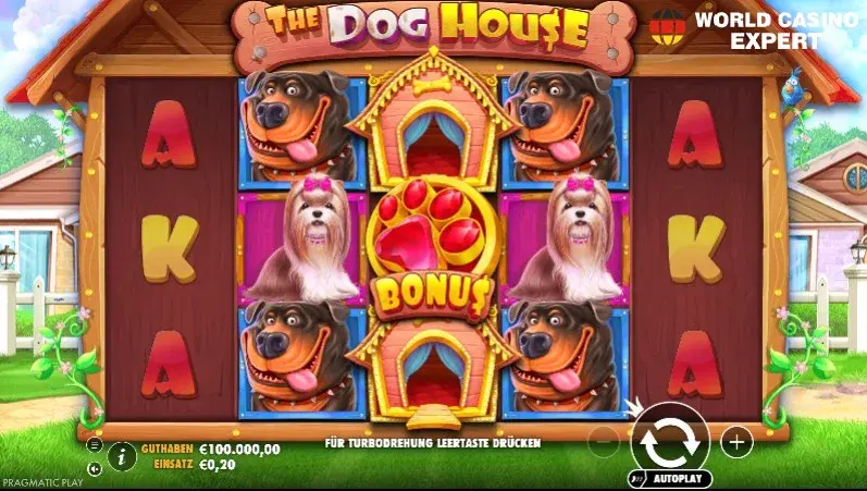 The Dog House