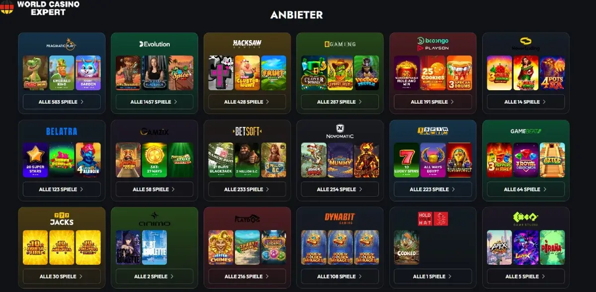 Softwareanbieter Softwareanbieter